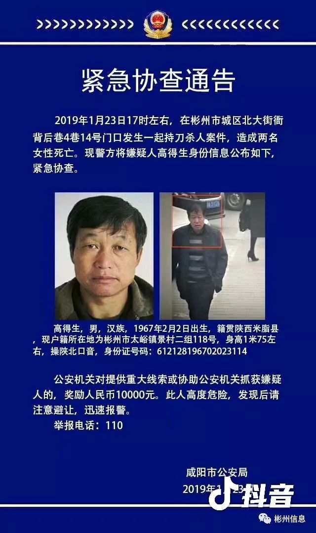 电白最新通缉犯名单，警方行动与公众警觉性提升