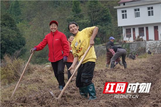 桑植最新消息，探索生态文化旅游新路径，助力乡村振兴