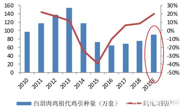 最新肉毛鸡价格，市场波动与影响因素分析