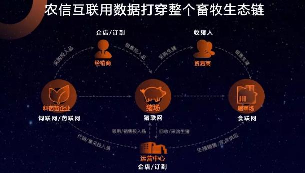 局谋最新免费，在数字时代下的策略与机遇