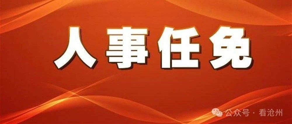 沧州市最新人事任免